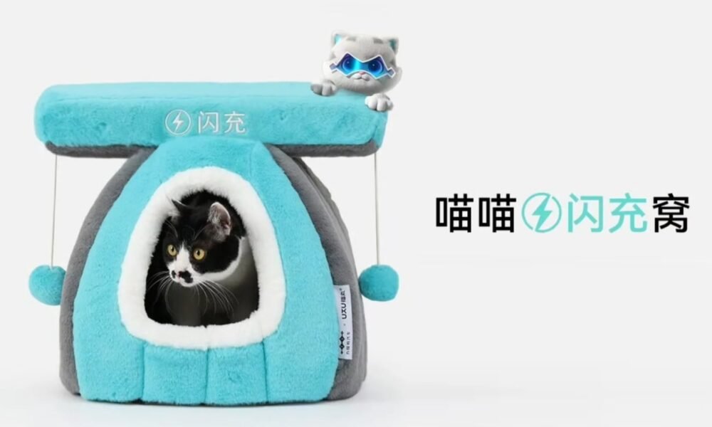 BYD pişik yatağı təqdim edildi: 13 dollar qiymətə satıldı - chinacar.az