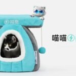 BYD pişik yatağı təqdim edildi: 13 dollar qiymətə satıldı - chinacar.az