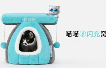 BYD pişik yatağı təqdim edildi: 13 dollar qiymətə satıldı - chinacar.az
